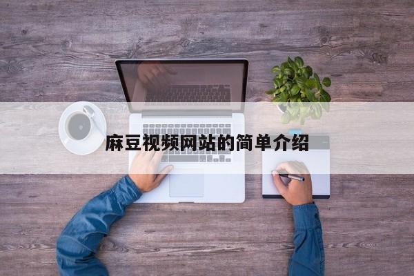 麻豆视频网站的简单介绍