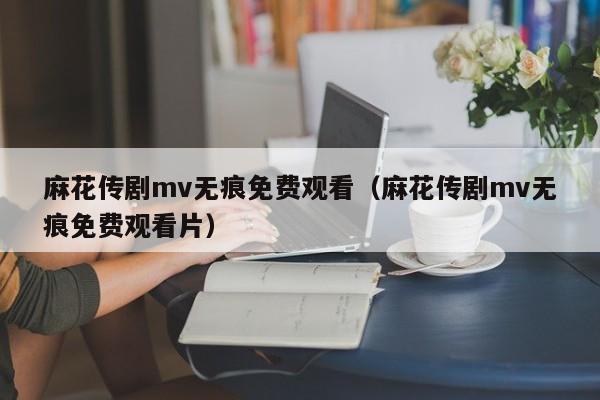 麻花传剧mv无痕免费观看(麻花传剧mv无痕免费观看片)